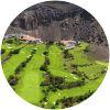 Image for Real Club de Golf Las Palmas course